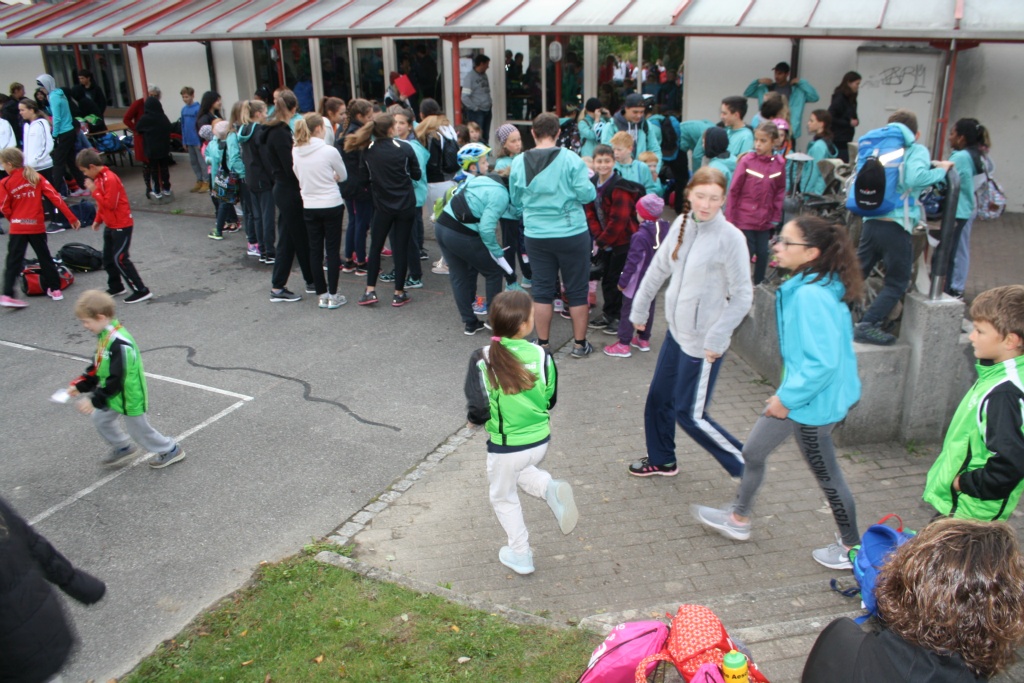 Bild 1 (14)
